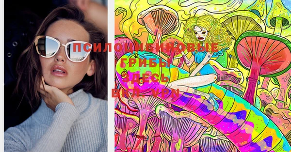 спайс Аркадак