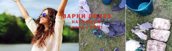 спайс Аркадак