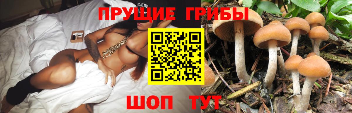 Галлюциногенные грибы MAGIC MUSHROOMS  Вход с VPN  Мурманск  Галлюциногенные грибы MAGIC MUSHROOMS 
