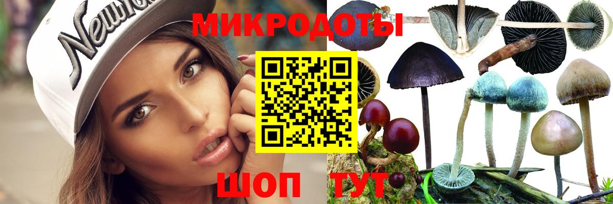 Псилоцибиновые грибы прущие грибы Мурманск